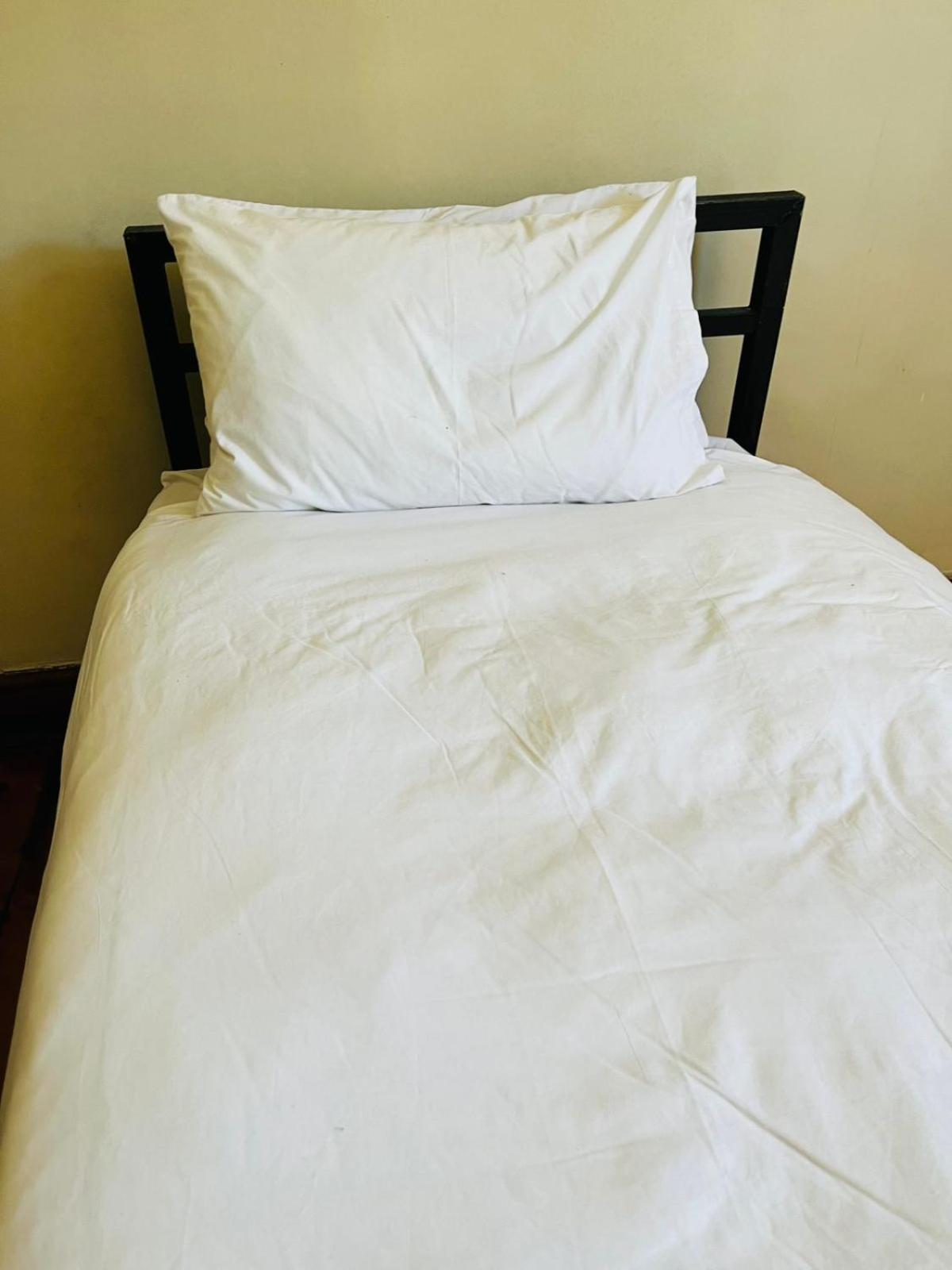 Hotel Wobbly Warthog Cape Town