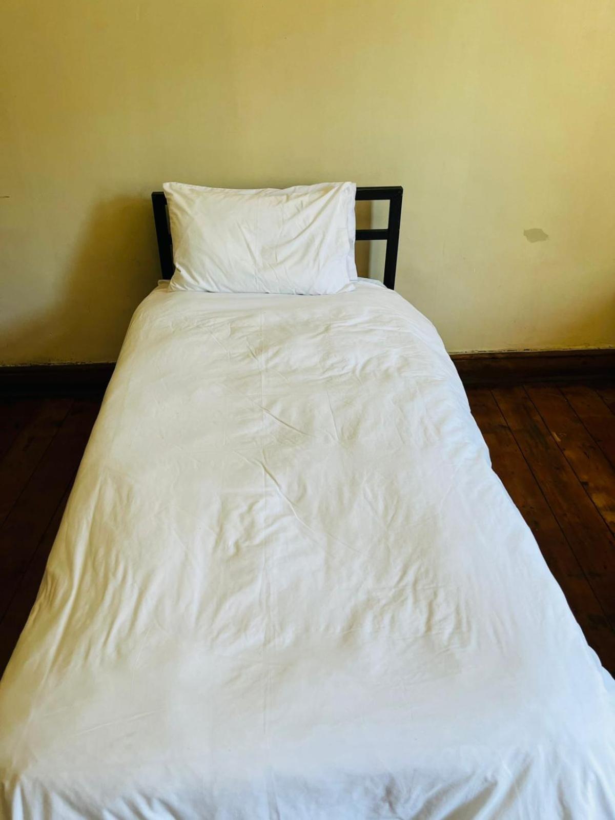 Wobbly Warthog Hotel Cape Town