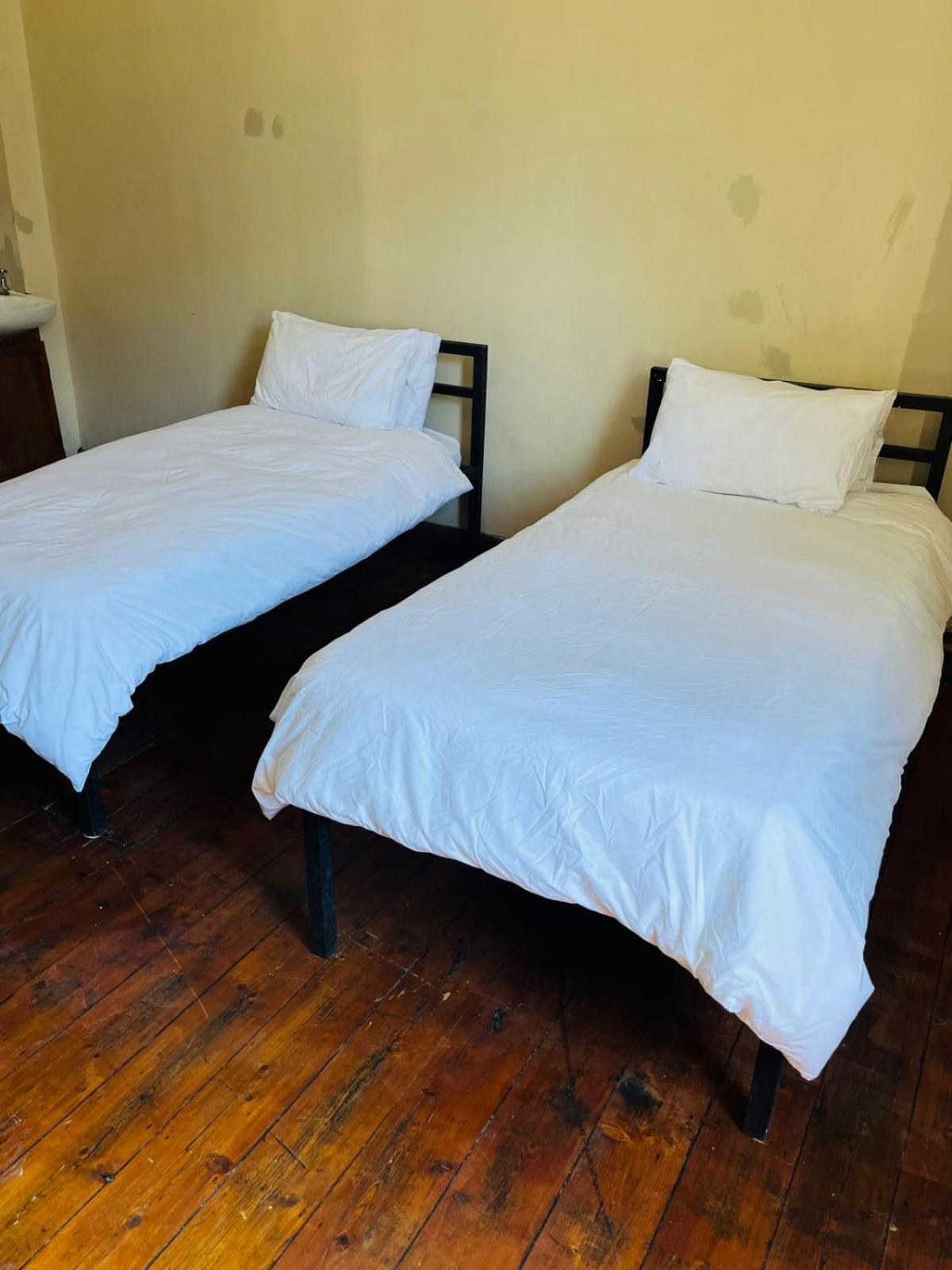 Hotel Wobbly Warthog *